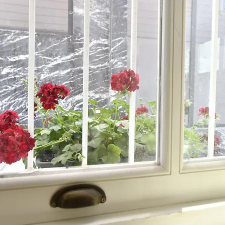 Agras 4* イスタンブール